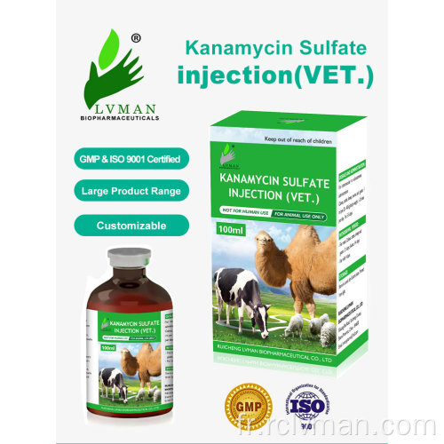 Injection de sulfate de kanamycine pour une utilisation animale uniquement